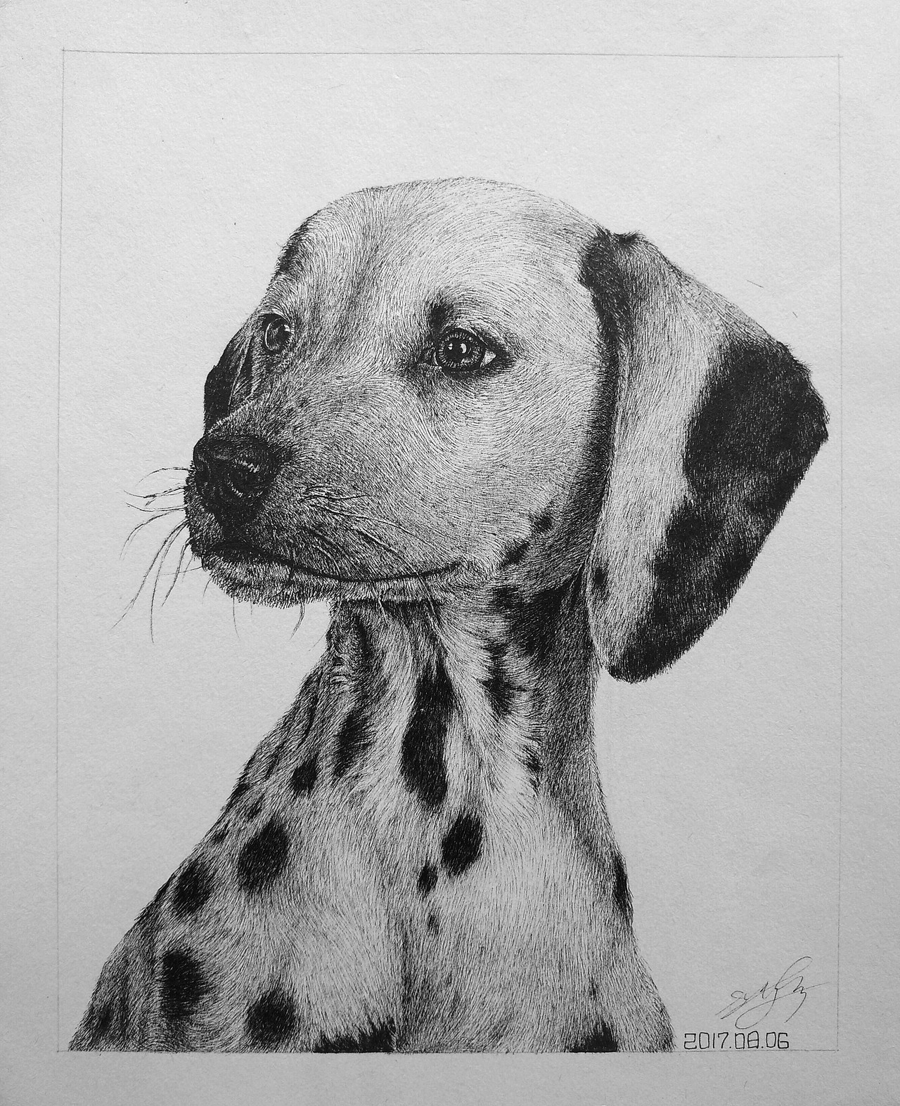 斑点狗（图ZMjI0NzE3MjEy） - 绘画 - 站酷设计师红豆芙蓉原创素材 - 站酷ZCOOL