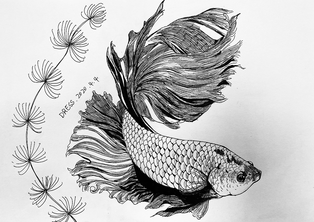 手绘中性笔照片速写