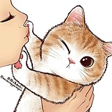 橘猫的夏天的头像