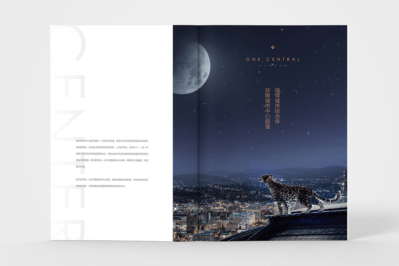 画册设计 | 地产楼书