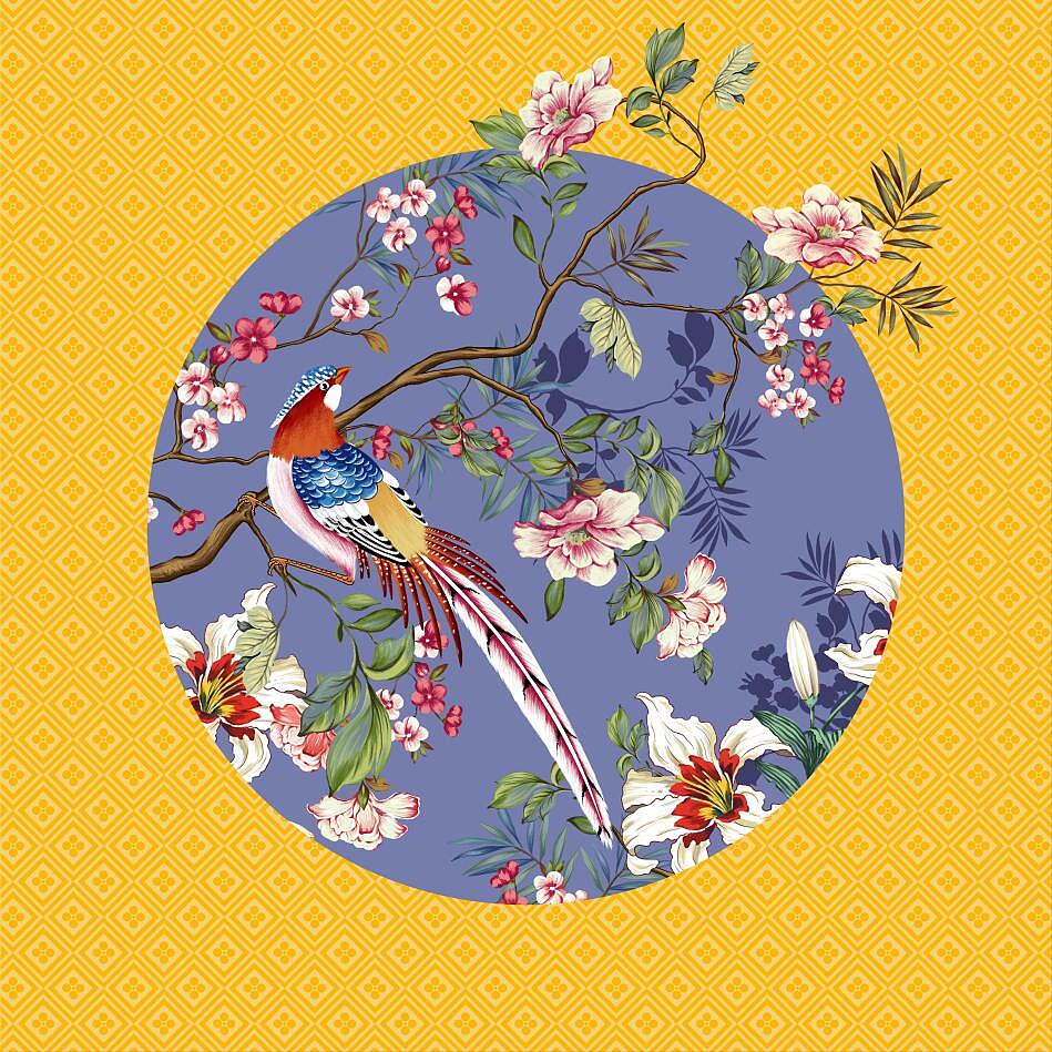 新中式花鸟|插画|商业插画|稀饭下寒菜 - 原创作品 - 站酷 (zcool)