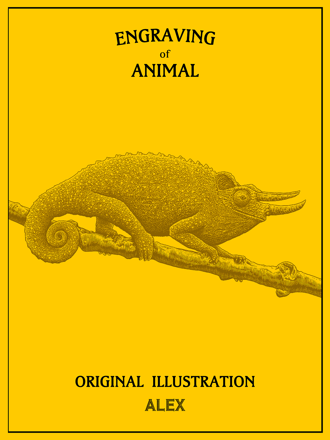 铜版画风格插画习作｜动物系列（图ZMjc3MTYxODk2） - 商业插画 - 站酷设计师花椒的Alex原创素材 - 站酷ZCOOL