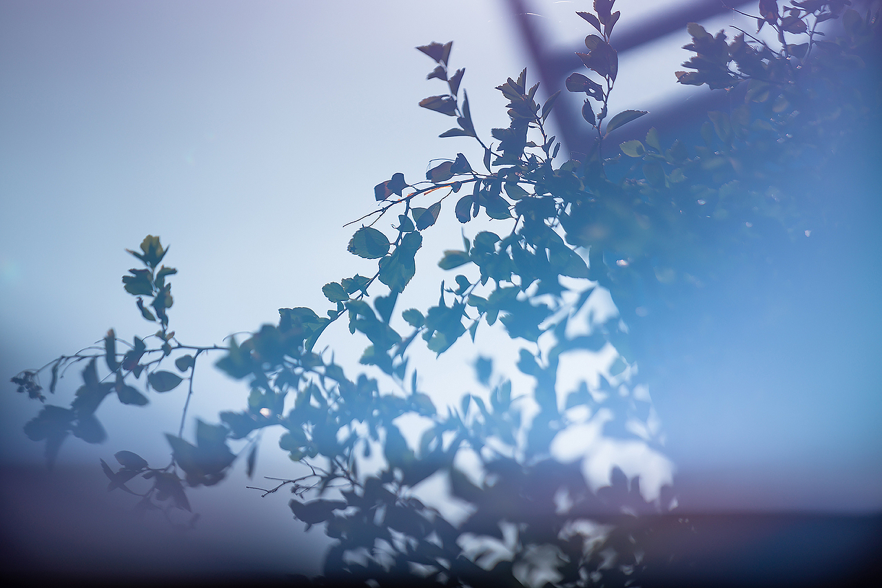 《要有光》（图ZMzA5OTYyNTU2） - 风光摄影 - 站酷设计师Alex1205原创素材 - 站酷ZCOOL