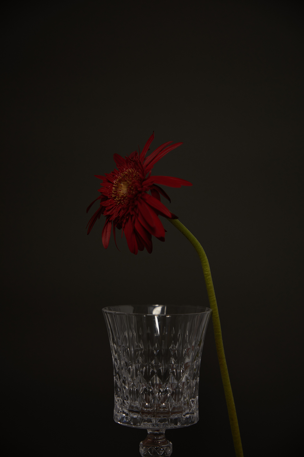 一次临起意的美（图ZMjc2MDUwMjQ0） - 产品摄影 - 站酷设计师困困大头鱼原创素材 - 站酷ZCOOL