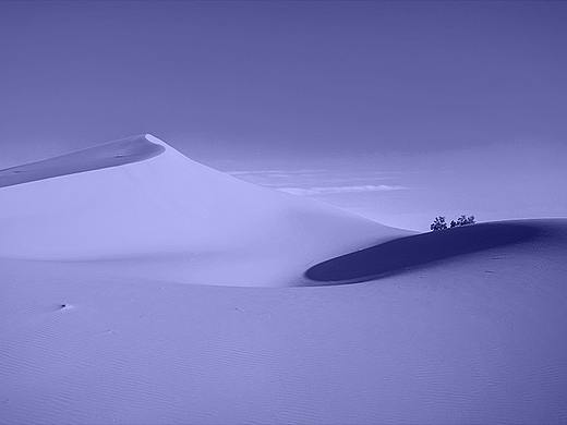 长春花蓝--沙漠