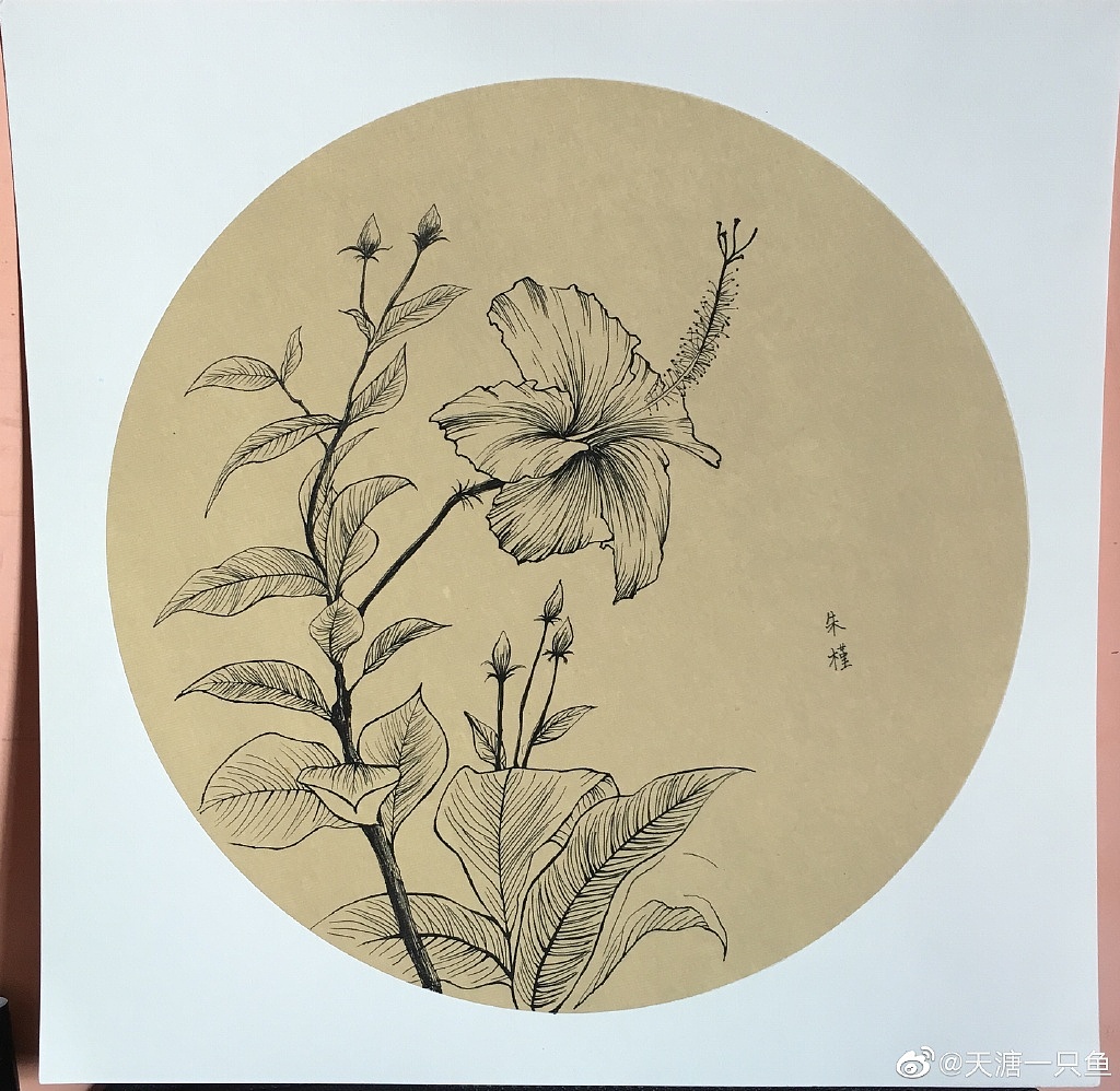 分享收藏大公鸡玉兰花素描静物动态速写菠萝蓝莓甲壳虫赫本苹果油画棒