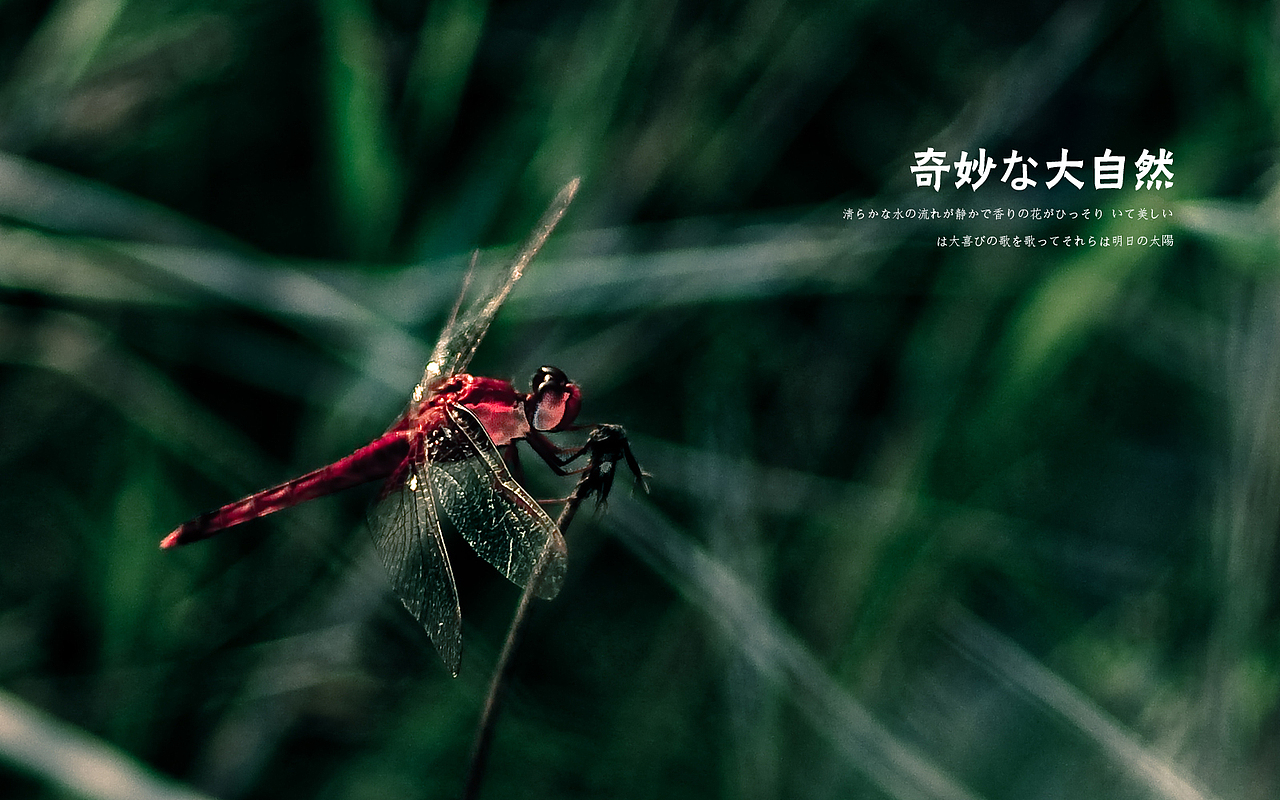 日出，日落，星空，夜。（下集）（图ZMTE3OTMwMzI=） - 风光摄影 - 站酷设计师michaelpst原创素材 - 站酷ZCOOL