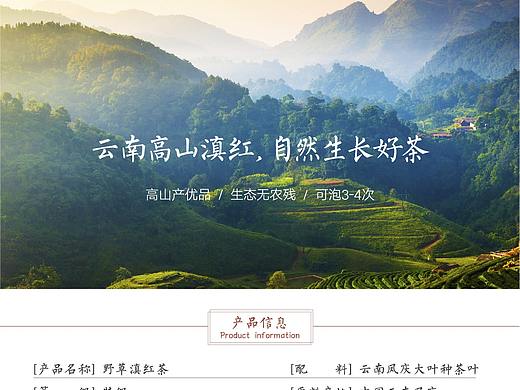 茶叶详情页