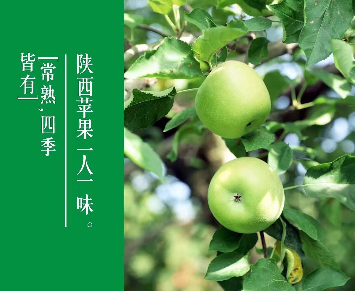 冰峰果果 微信海报