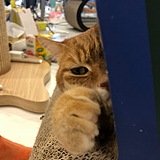 Monkey2nd的头像