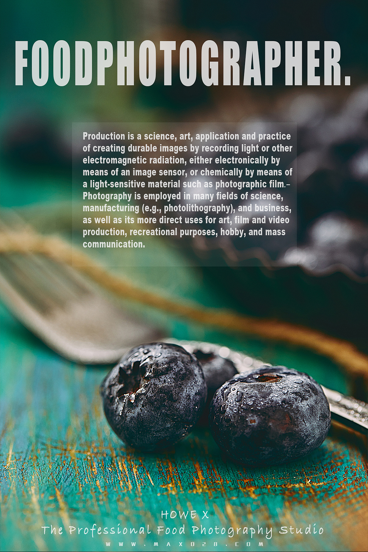 安安静静拍摄(一)|蓝莓