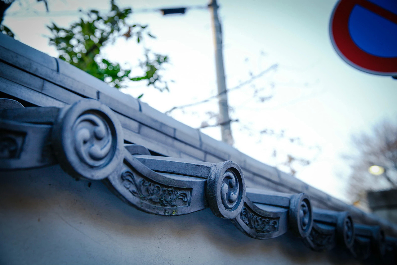 一生总要感受一次樱花时节的霓虹