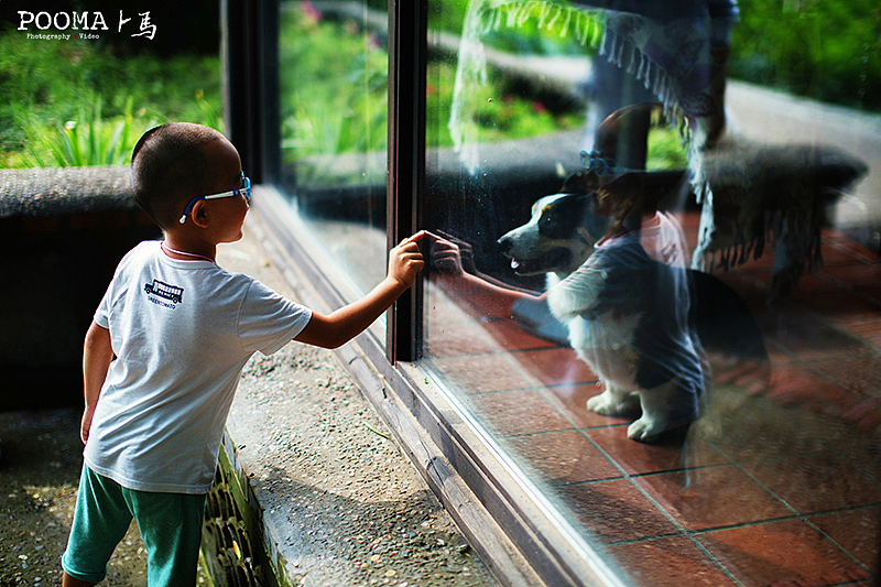 最亮的星－果园婚礼跟拍