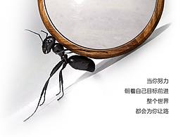 渺小的力量