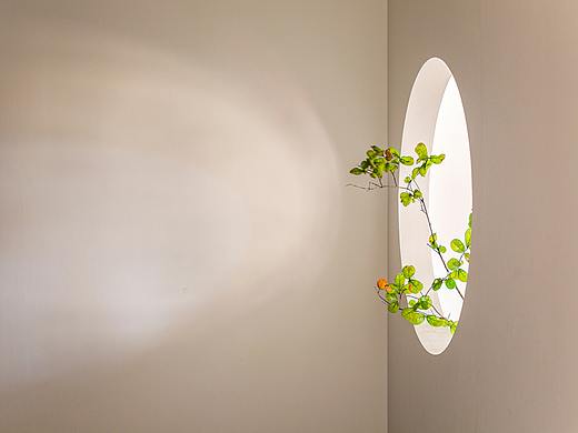 袁新智:长情陪伴 | 自然童趣的成长乐园