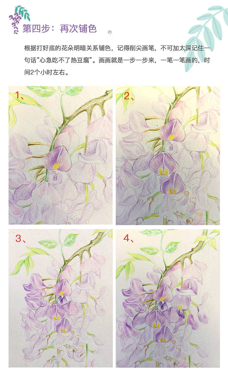 彩铅紫藤怎么画?