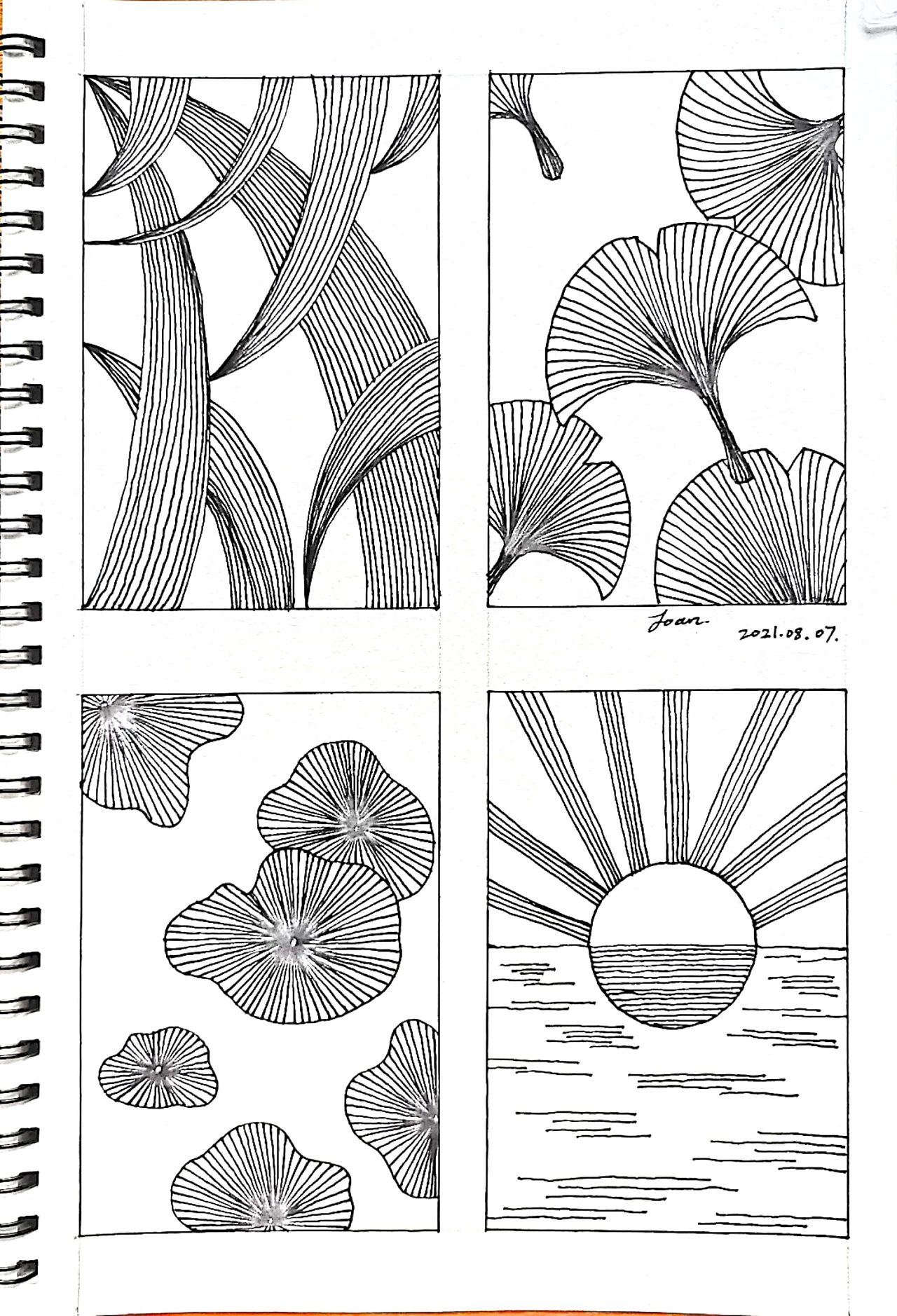 今天的控笔是四小幅装饰图案,画的有点潦草了邯郸
