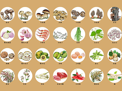 农产品包装插画系列