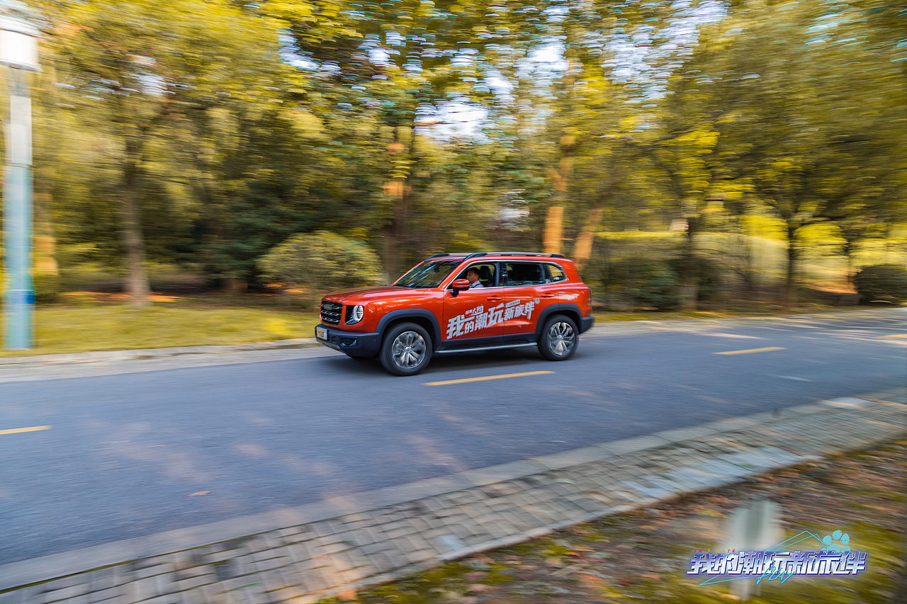 2020年宣城哈弗大狗