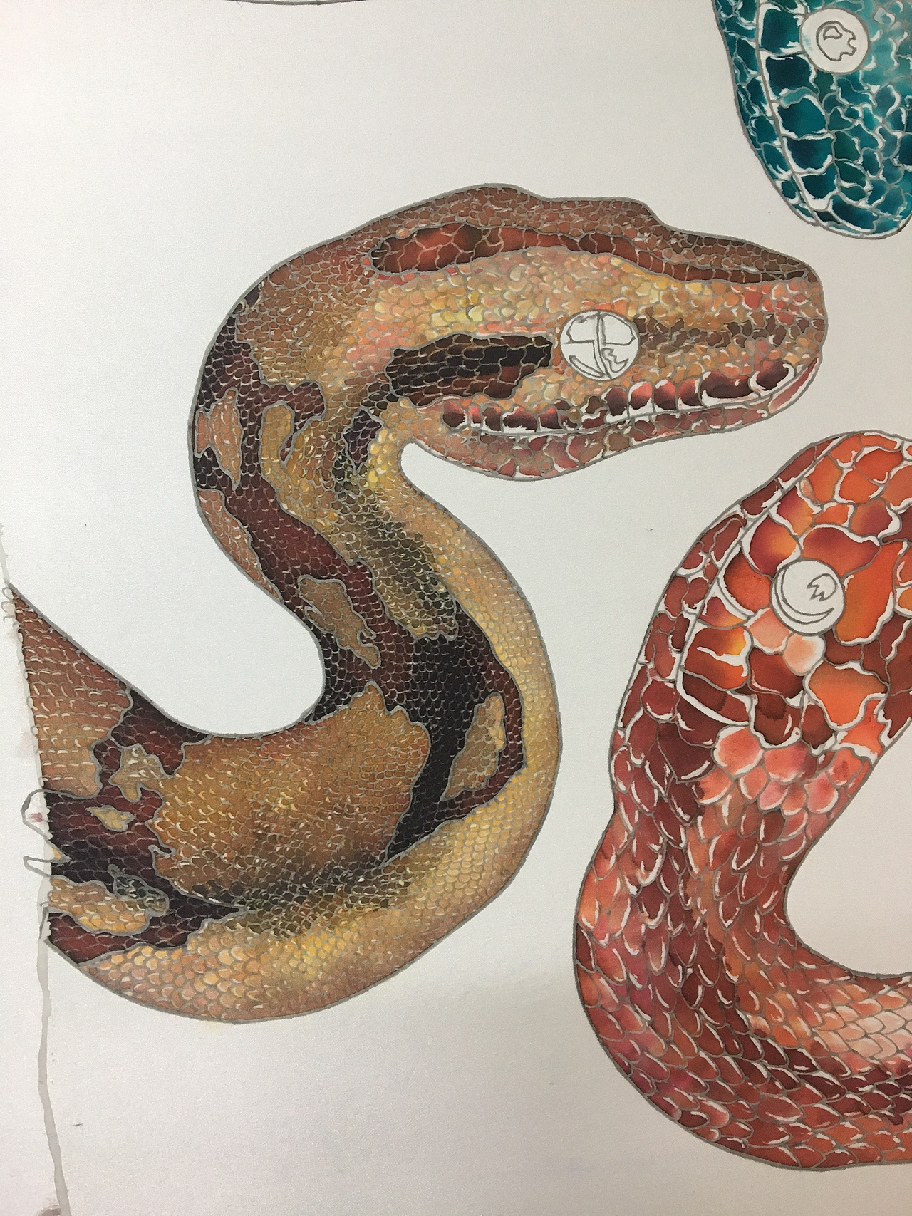 真丝手绘蛇（图ZMTIzNjA4NjQ0） - 创作习作 - 站酷设计师换学别跑原创素材 - 站酷ZCOOL