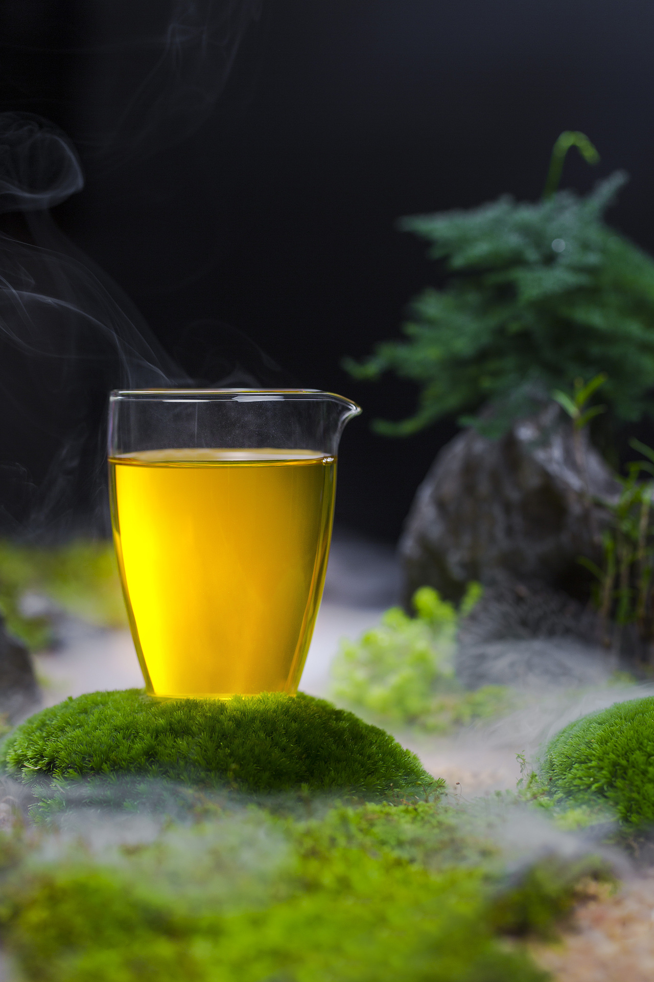 春| 静物摄影 | 普洱茶摄影 有机大树茶|摄影|产品摄影|摄影师大桂