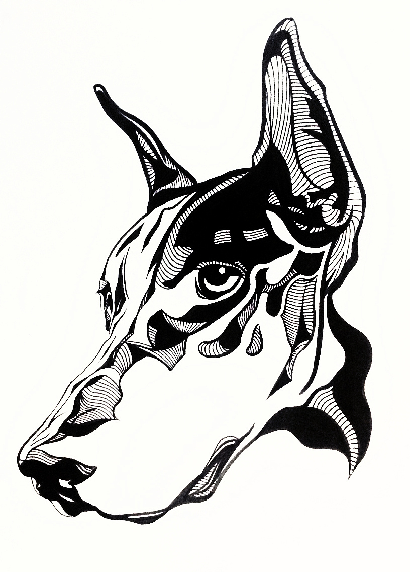 杜宾犬|插画|商业插画|插画师grena - 原创作品 - 站酷 (zcool)