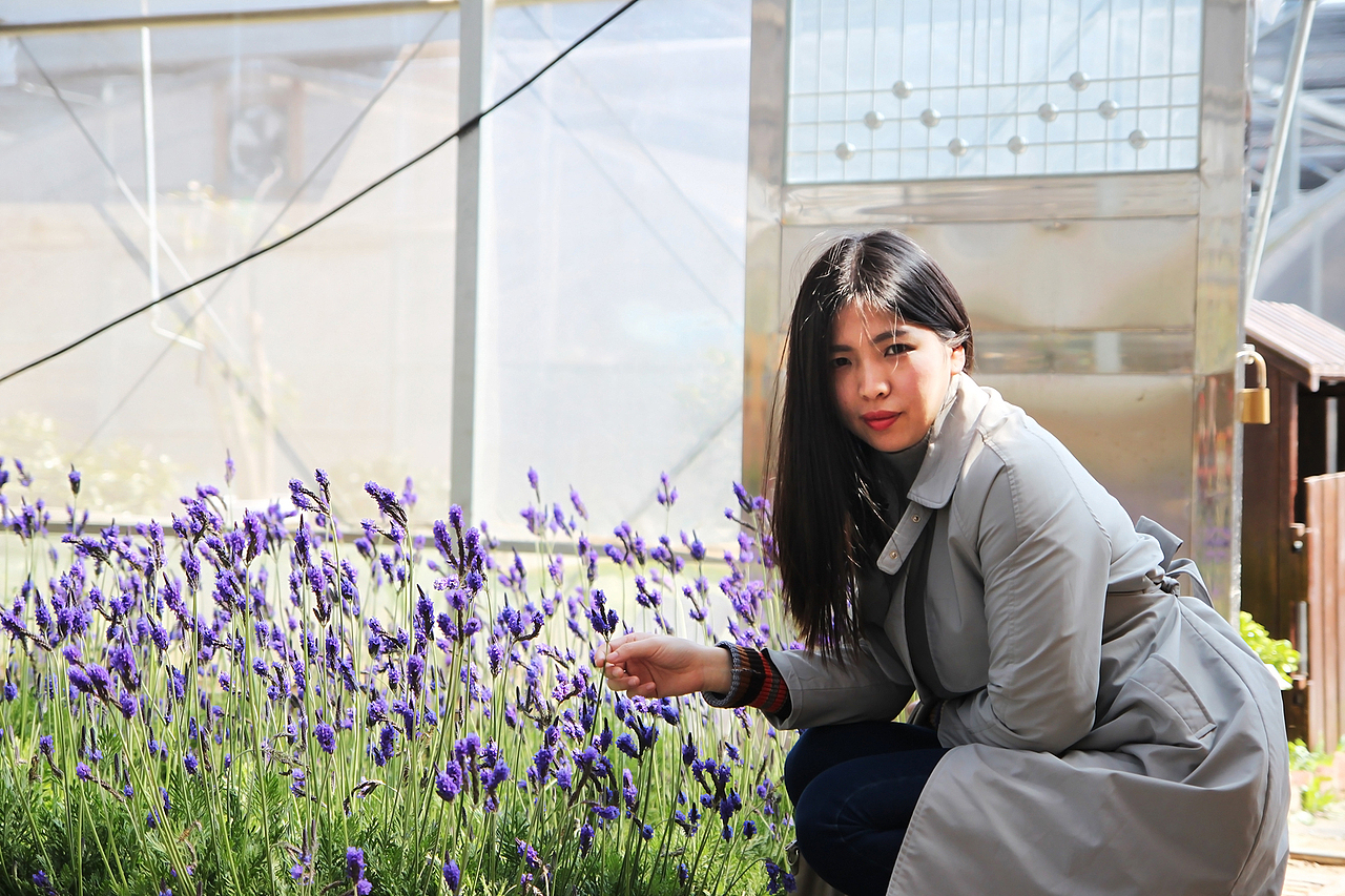 多肉的世界（图ZNzU2MjY0MTI=） - 产品摄影 - 站酷设计师偷腥猫儿原创素材 - 站酷ZCOOL