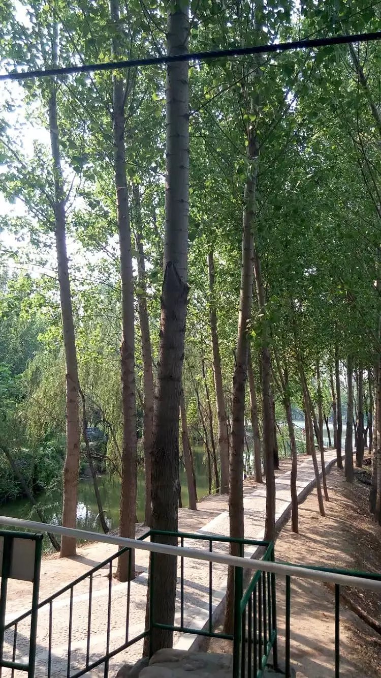 手机相册_风景（图ZMTAwMDEzNDky） - 人文/纪实摄影 - 站酷设计师跑步向前原创素材 - 站酷ZCOOL