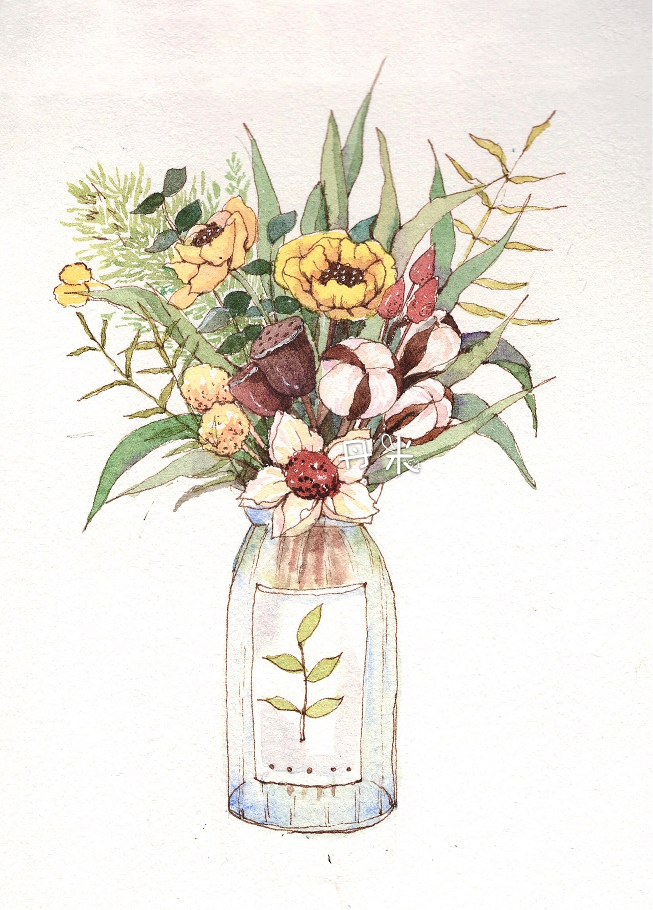 小清新 手绘插画钢笔淡彩花儿系列