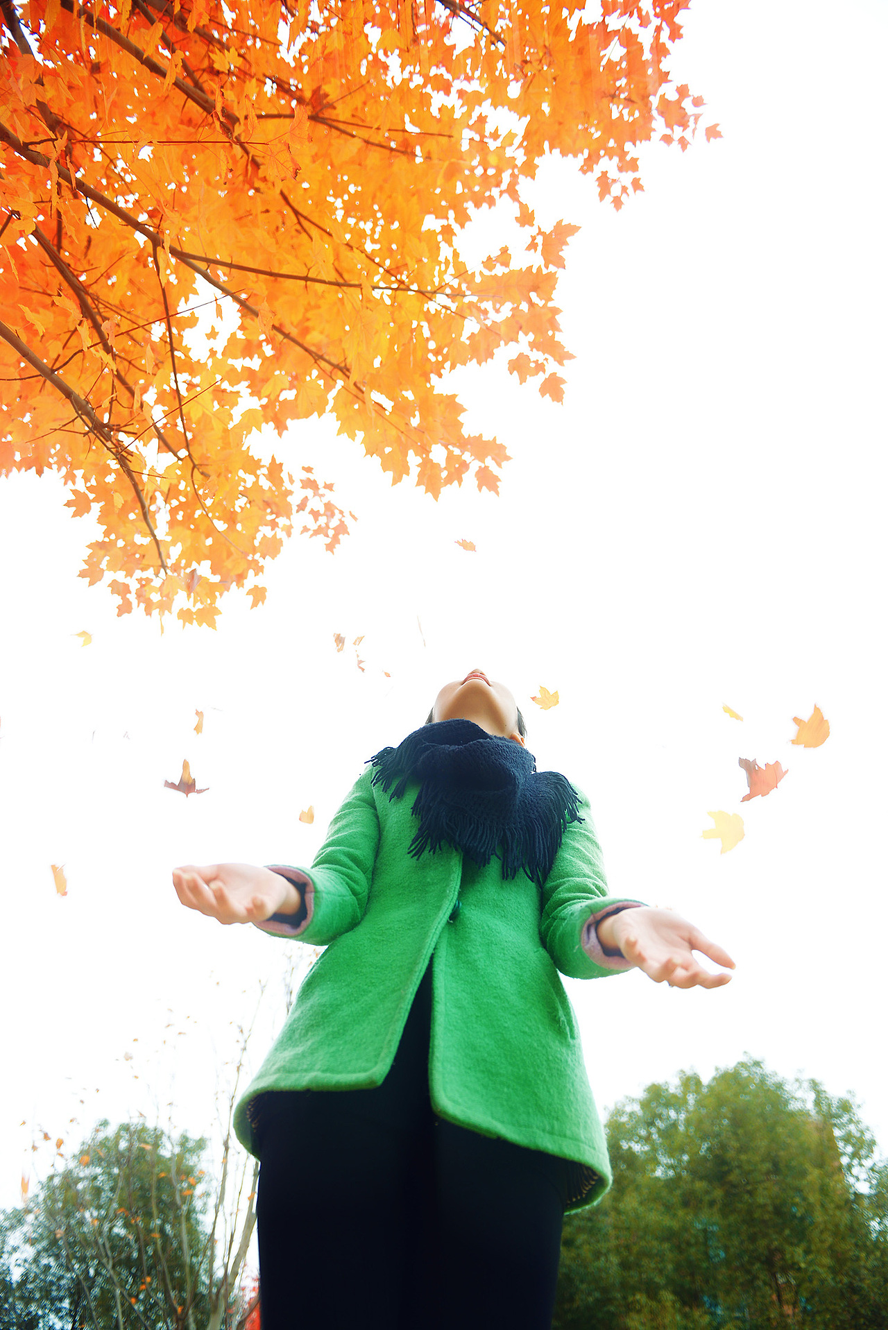 幺四的最后一片枫叶