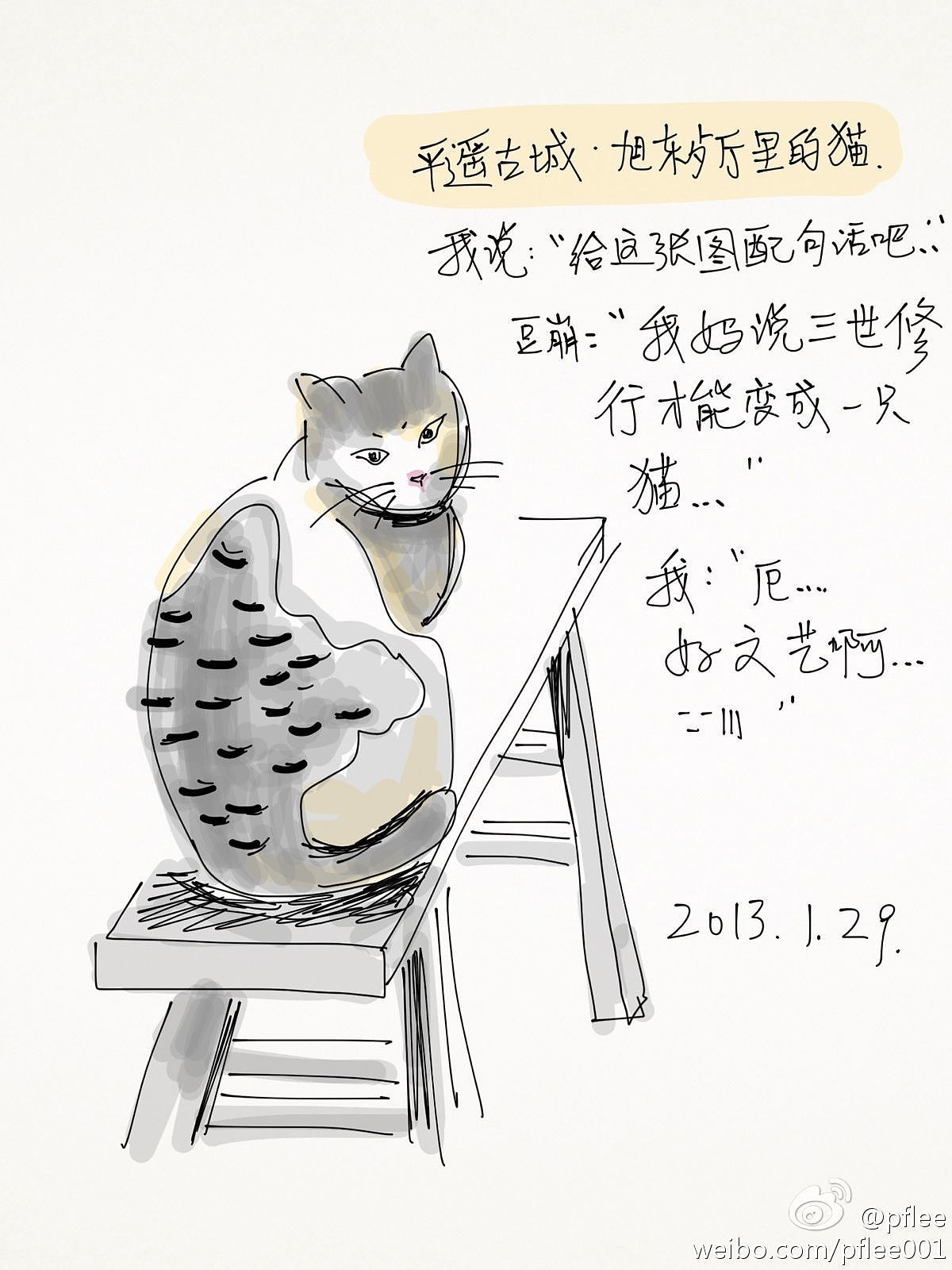 我在这里:#平遥古城# 旭东餐厅里的猫
