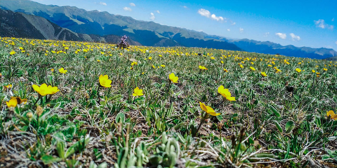 云端之旅（图ZMTE3NzEwMzcy） - 风光摄影 - 站酷设计师kabka原创素材 - 站酷ZCOOL