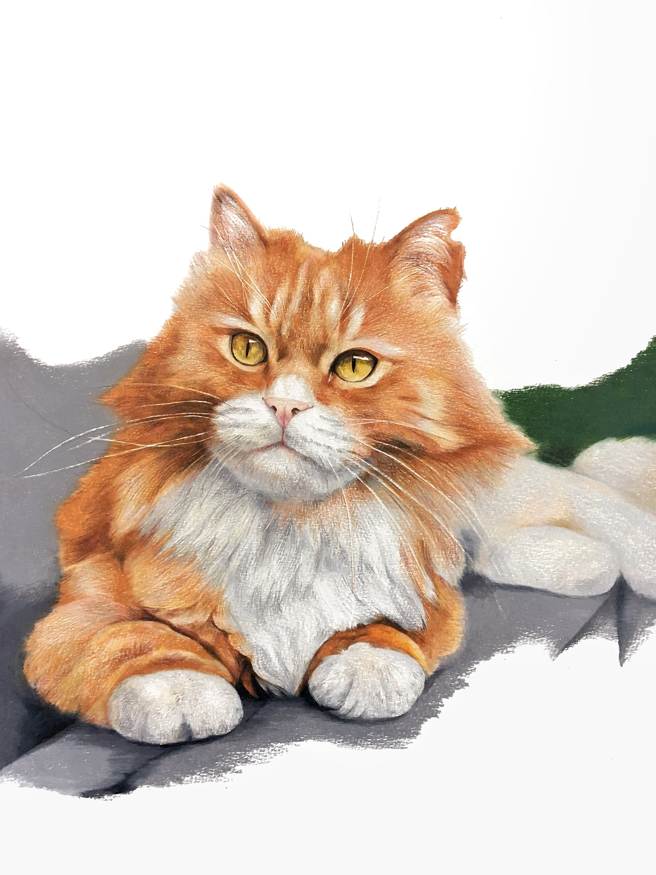 画册《观复猫 妙笔生猫非非诗》