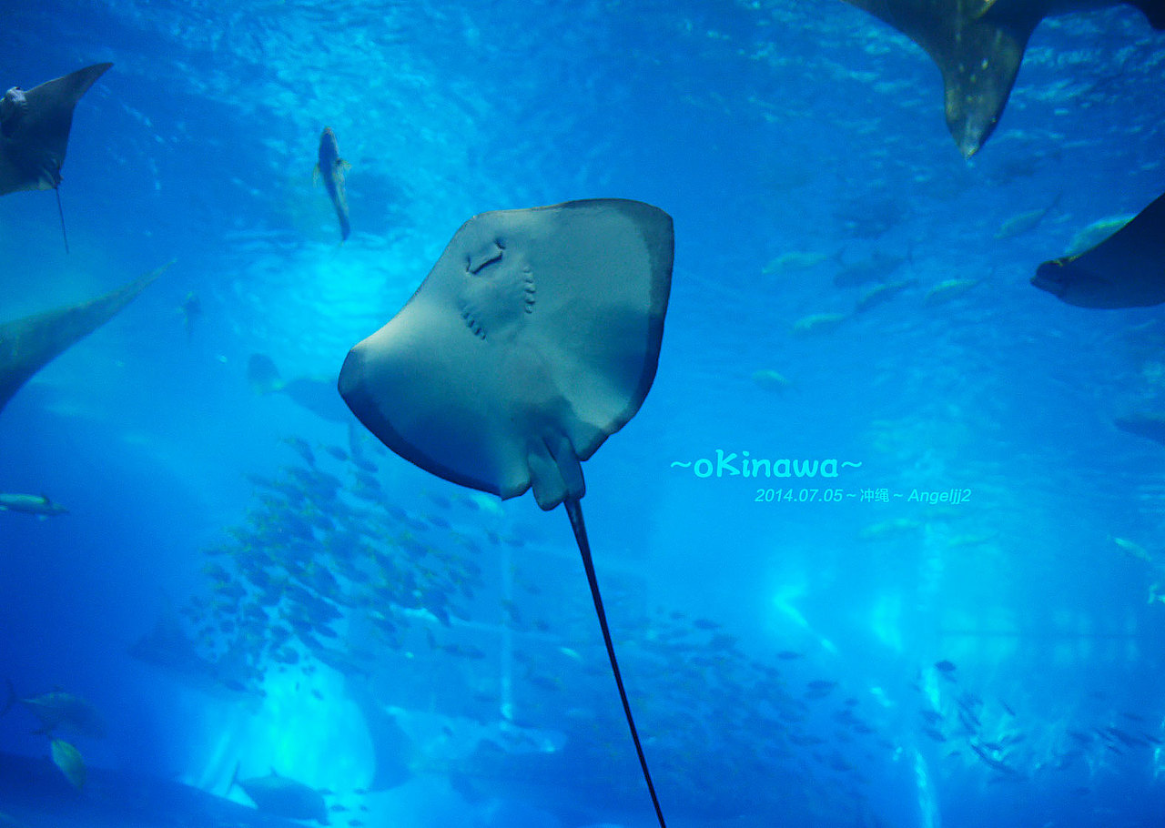 2014.07.05.oKinawa.冲绳游（图ZMTkxMTc4ODQ=） - 风光摄影 - 站酷设计师angeljj2原创素材 - 站酷ZCOOL