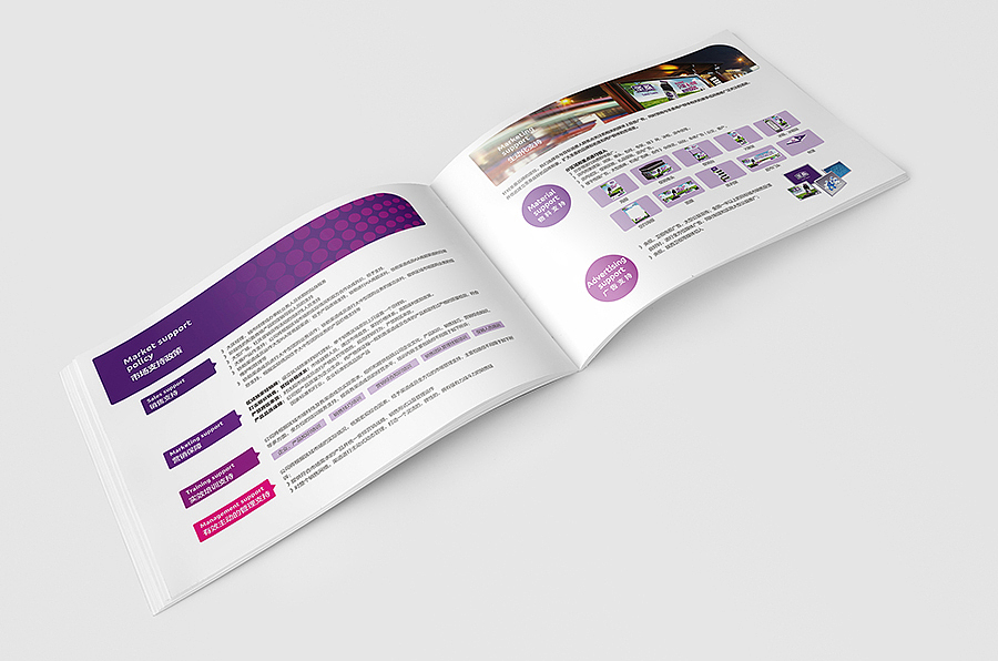 赛狮画册设计集合