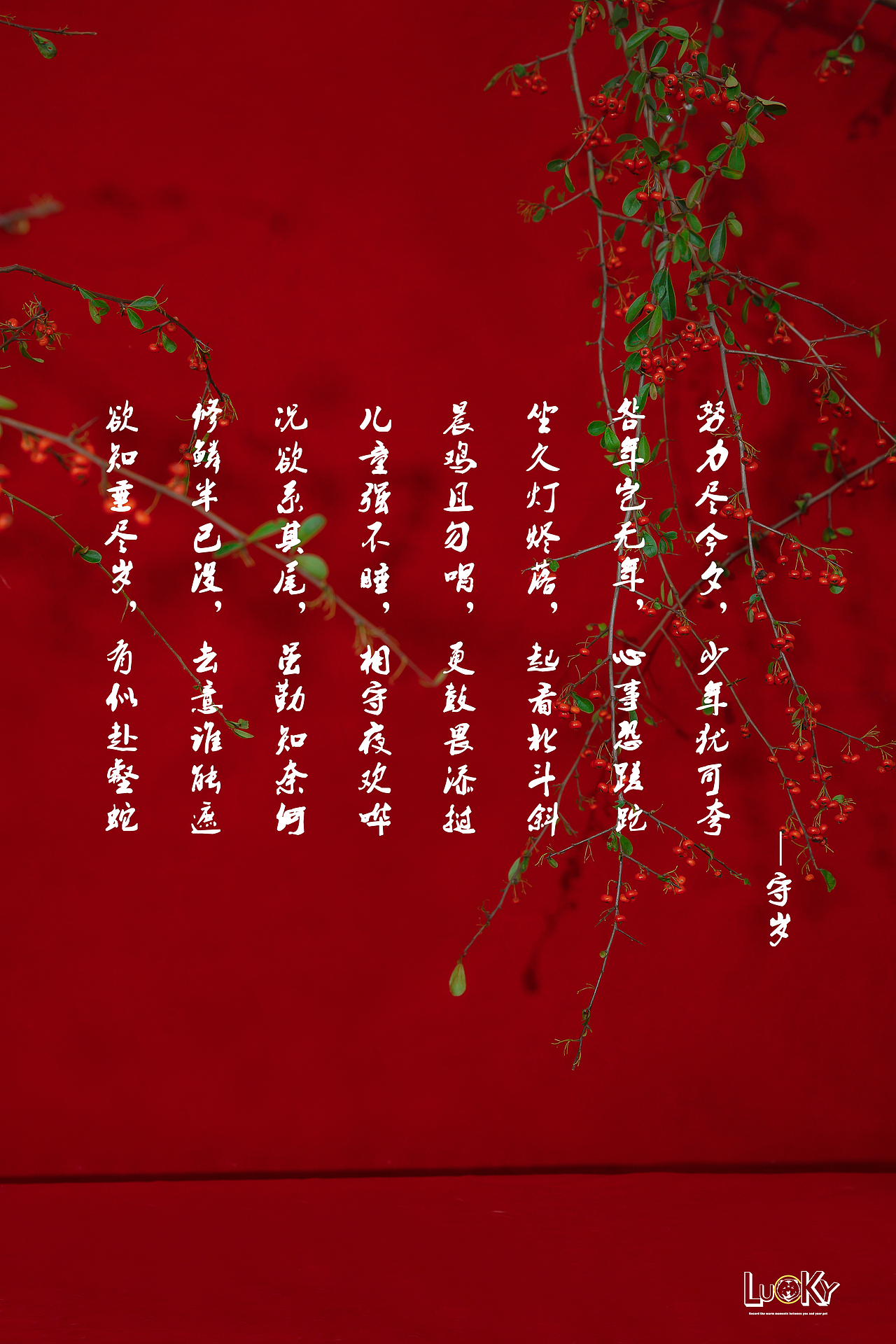宠物摄影-春（猫咪）（图ZMTQxMDcyNDUy） - 宠物摄影 - 站酷设计师LUCKY宠物摄影原创素材 - 站酷ZCOOL