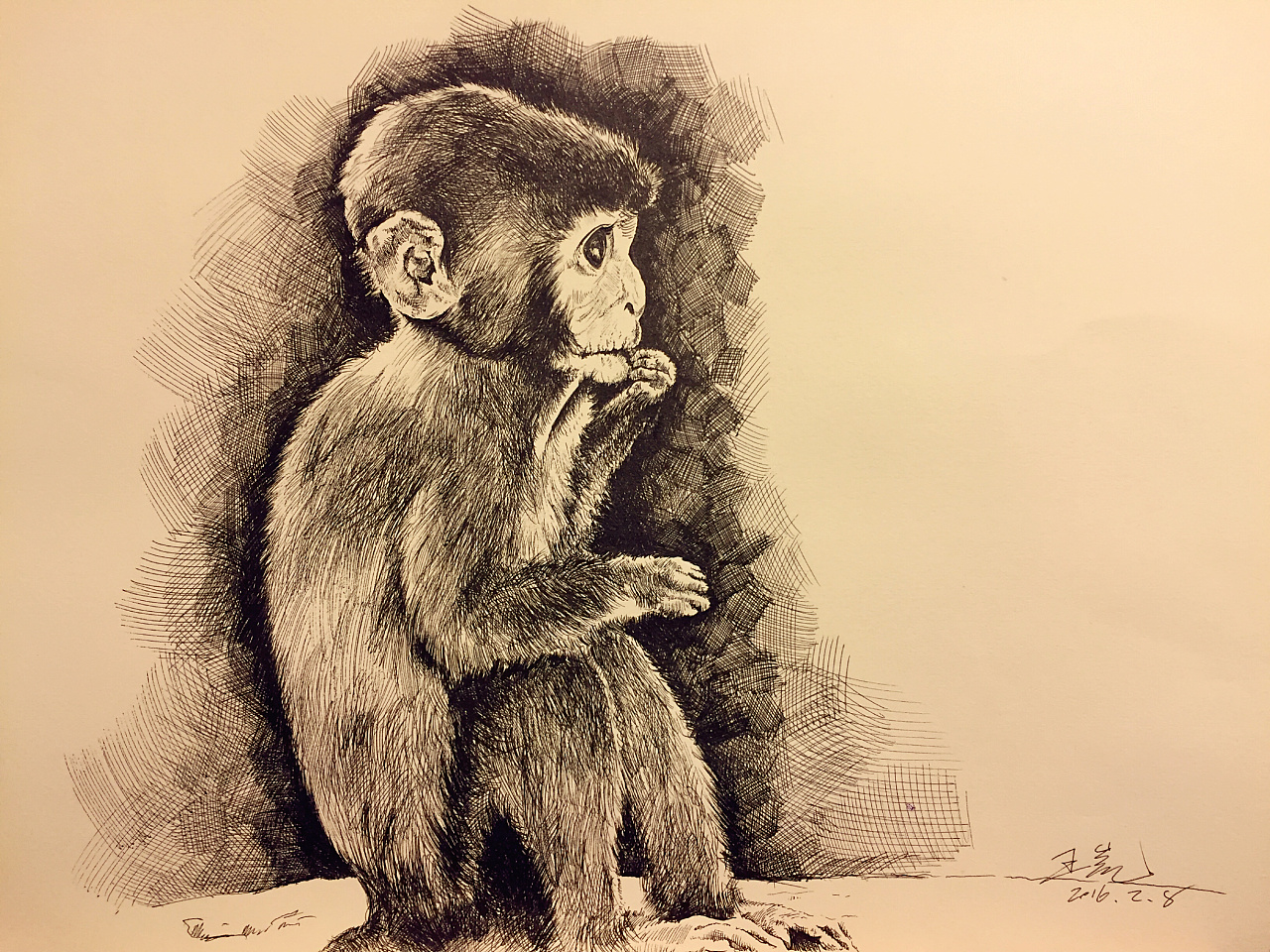 吃瓜子的小猴子|纯艺术|钢笔画|kennwang - 原创作品 - 站酷 (zcool)