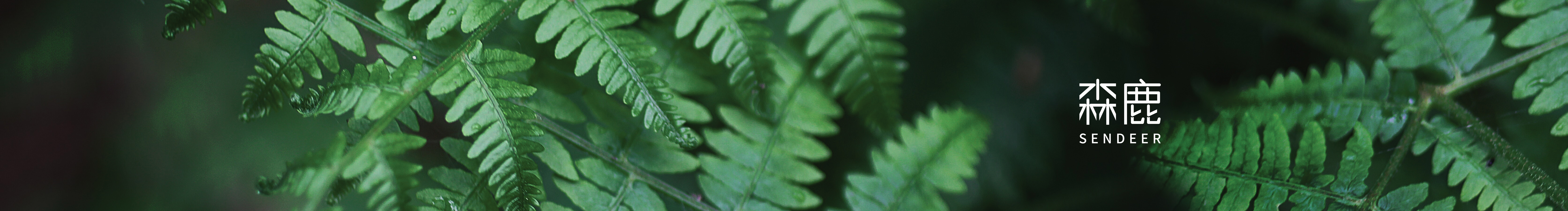 香脆奶油豬的個(gè)人主頁(yè)（封面預(yù)覽） - 主頁(yè)封面設(shè)置 - 站酷設(shè)計(jì)師香脆奶油豬原創(chuàng)素材 - 站酷ZCOOL