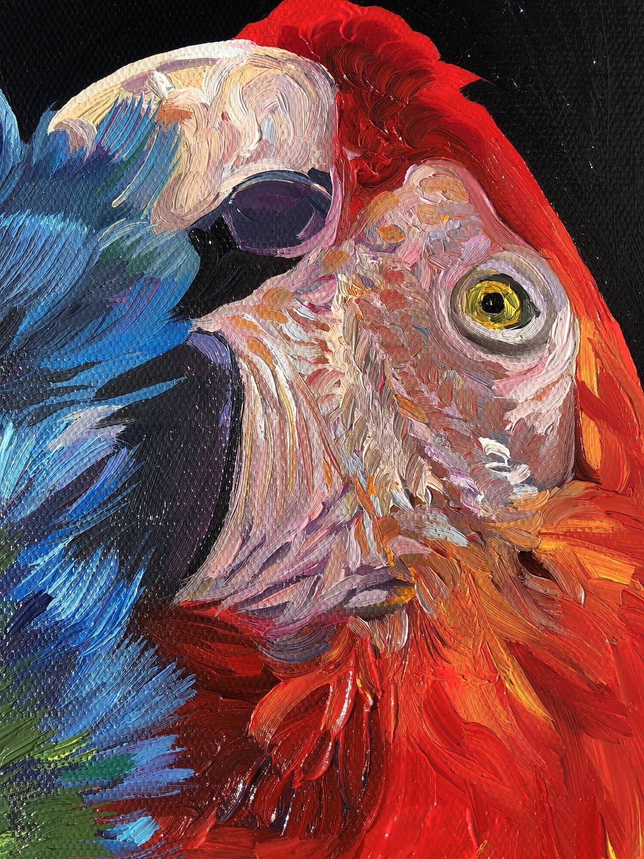鹦鹉油画