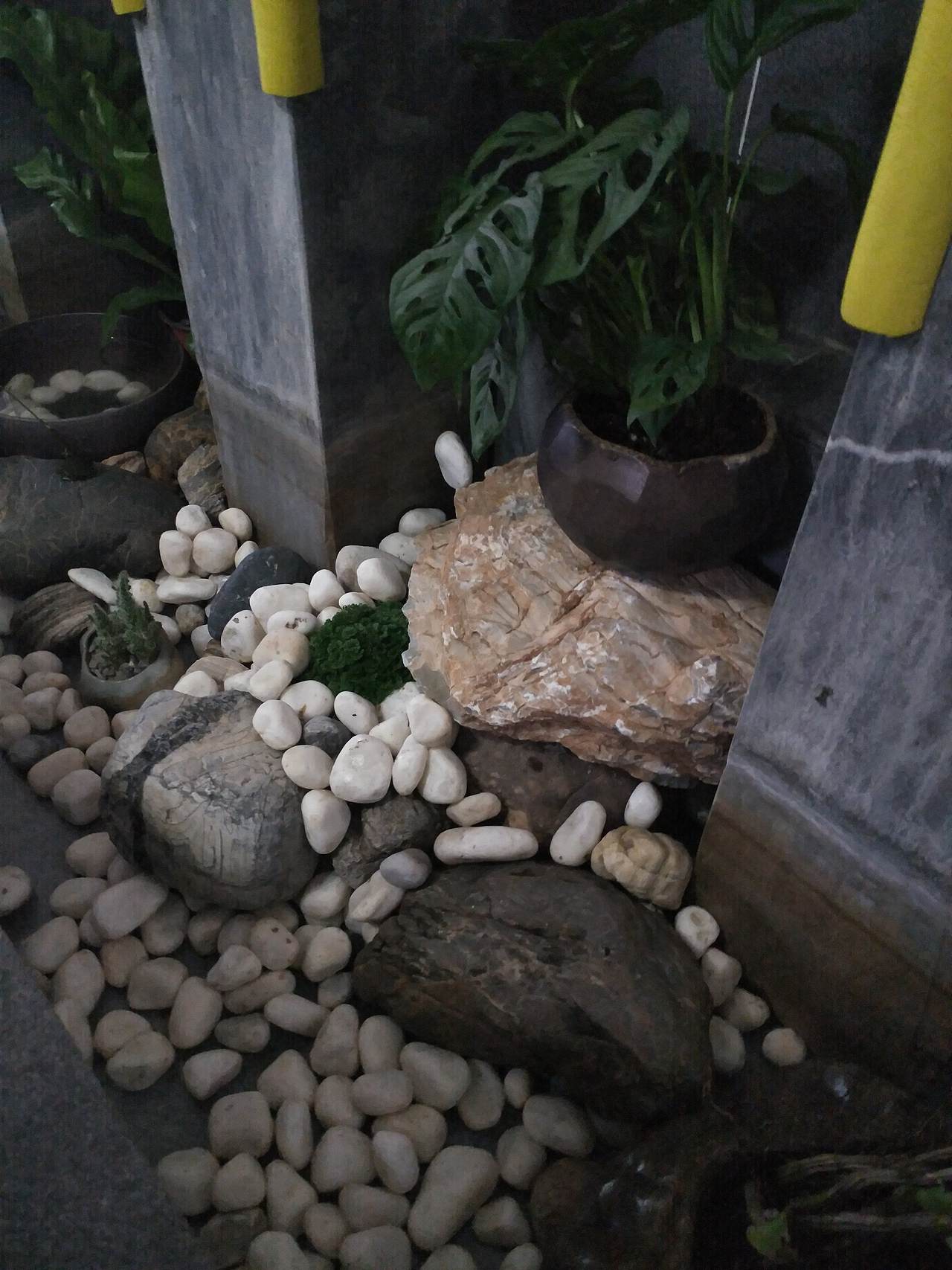 的庐的的庐（图ZMTU1NzEwMTIw） - 产品摄影 - 站酷设计师的庐原创素材 - 站酷ZCOOL