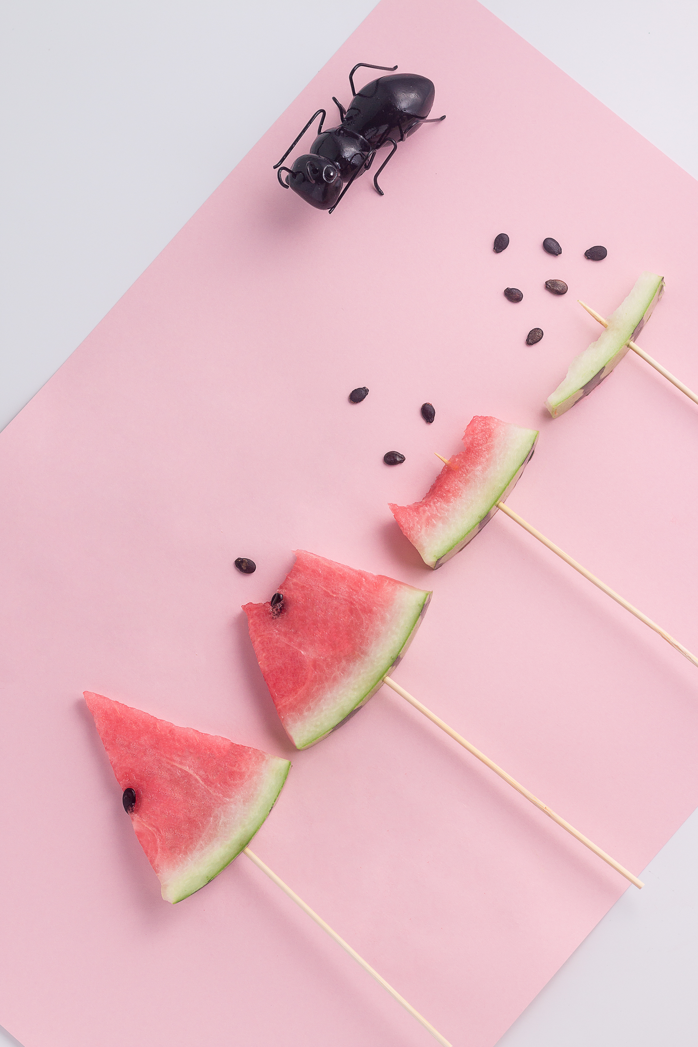 西瓜的创意拍摄