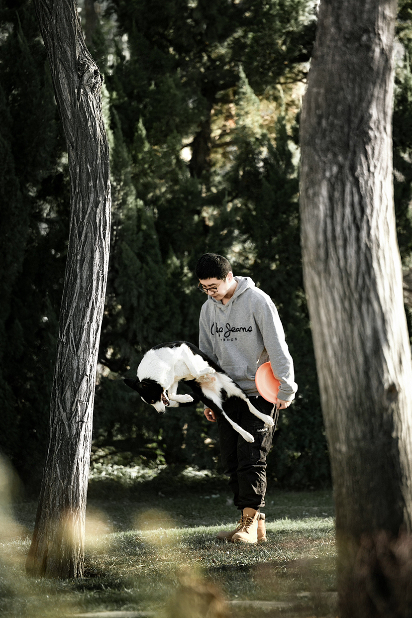 飞盘狗吉米和他的主人