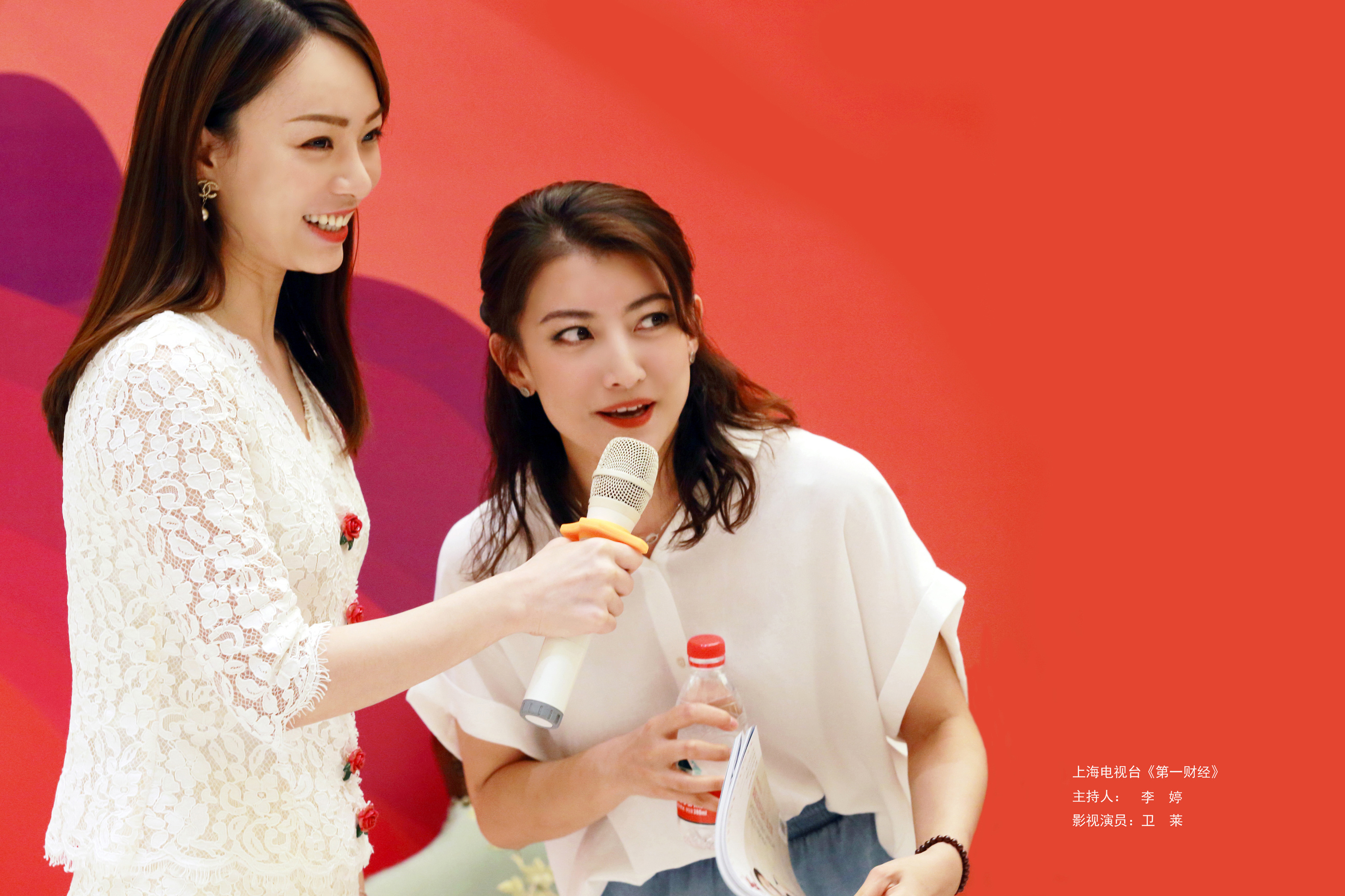 中国内地女演员卫莱