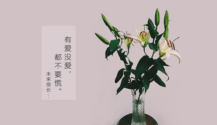 香水百合（图ZNTczOTM4NDQ=） - 宣传物料 - 站酷设计师平面设计LI原创素材 - 站酷ZCOOL