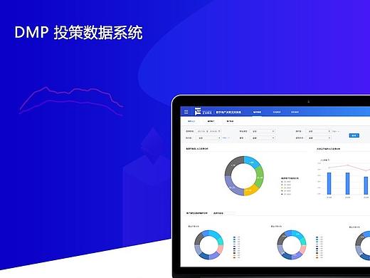 DMP 统计系统
