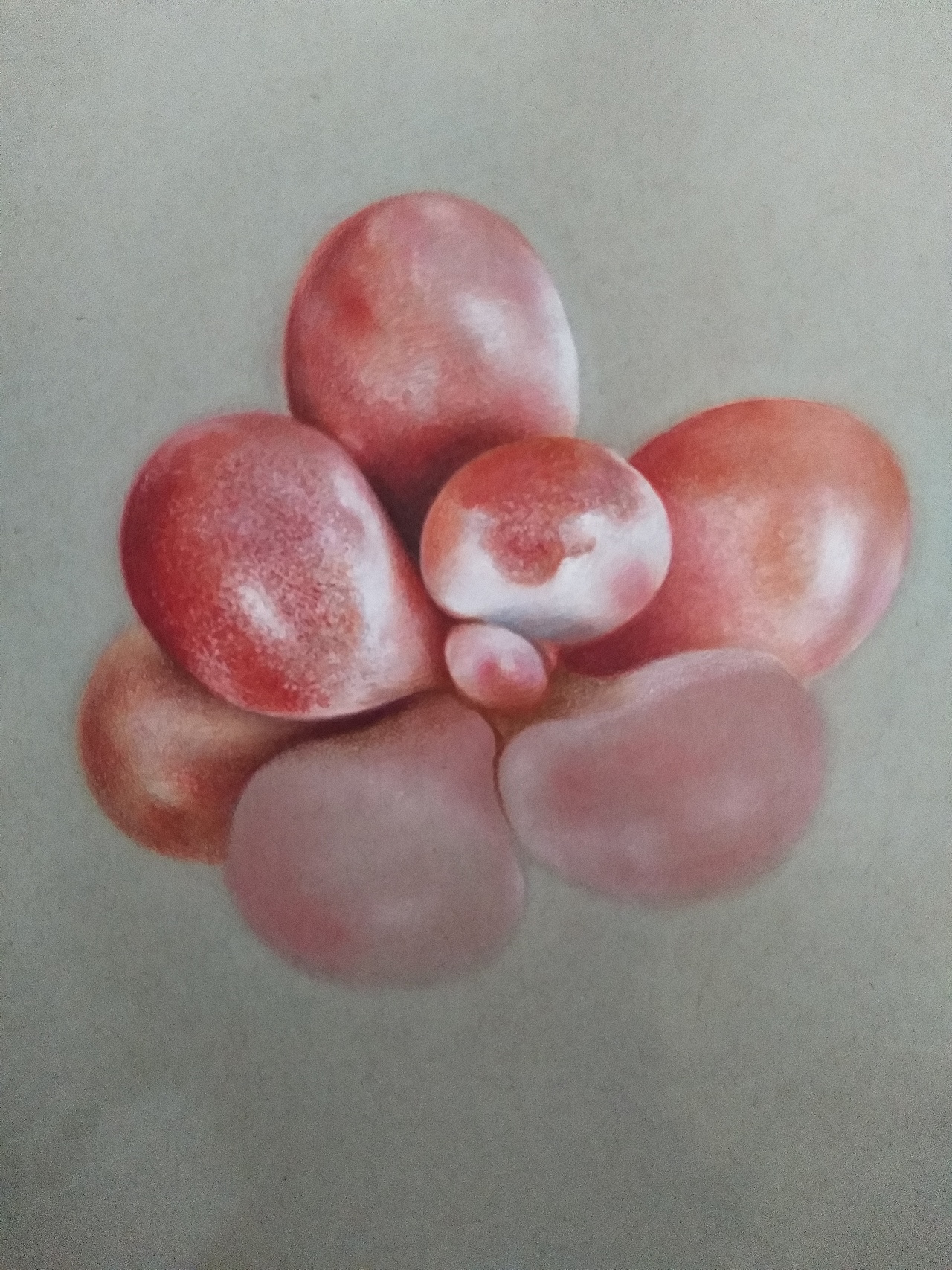 李胜仁 作品（多肉）（图ZMTYzMzAzMzQ4） - 绘画 - 站酷设计师李胜仁原创素材 - 站酷ZCOOL