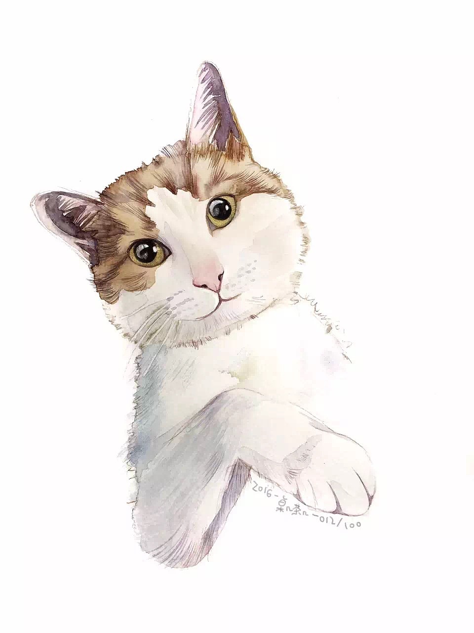 #存图# 没完成的100只猫（图ZMTc0MDM1OTQ0） - 创作习作 - 站酷设计师汪野心原创素材 - 站酷ZCOOL