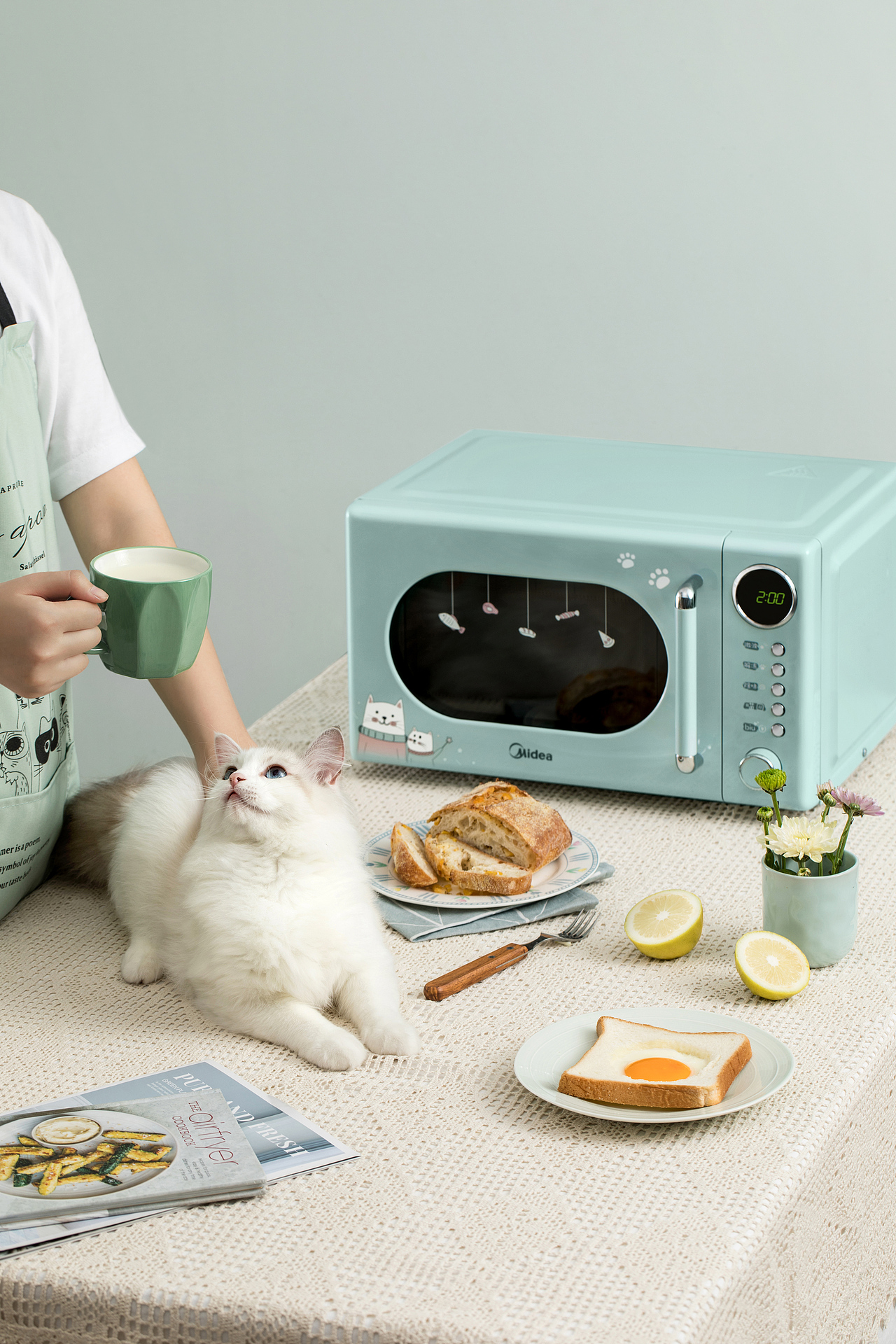 美的猫猫微波炉文描|撸猫、干饭、真香~