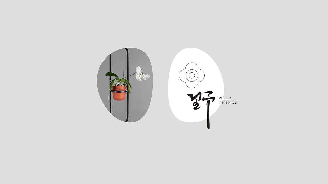 文艺买手店 品牌设计——野