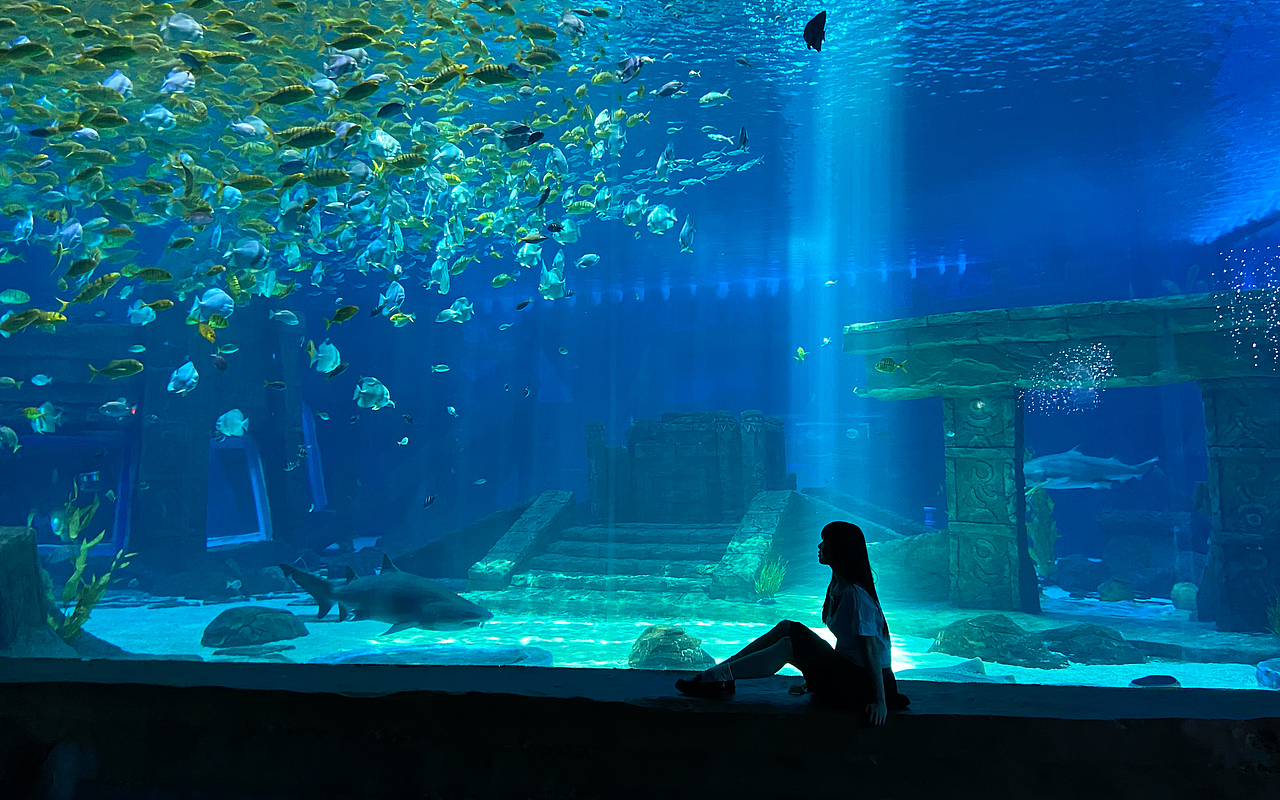 水族馆人像|摄影|人像摄影|小刚刚brian_原创作品-站酷(zcool)